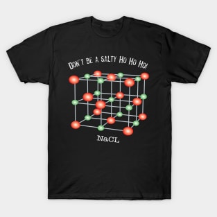 Dont't Be a Salty Ho Ho Ho! T-Shirt